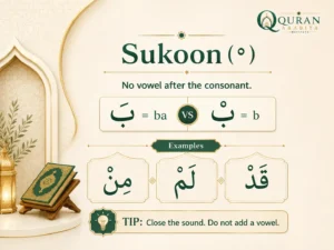Sukoon Shaddah Tanween: What Beginner Quran Readers Need to Know