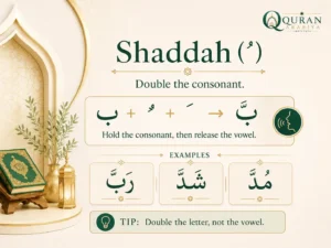Sukoon Shaddah Tanween: What Beginner Quran Readers Need to Know 1