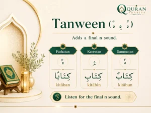 Sukoon Shaddah Tanween: What Beginner Quran Readers Need to Know 2