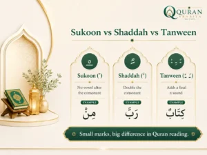 Sukoon Shaddah Tanween: What Beginner Quran Readers Need to Know 3